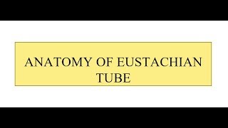 What is Eustachian Tube Dysfunction [upl. by Adan]