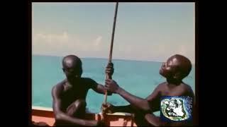 2018  Indian Ocean  North Sentinel Island  The Most Isolated Stone Age Tribe in the World  2311 [upl. by Bound95]