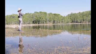 SURROUNDED by GATORS catching EXOTICS deep Florida fishing [upl. by Rairb]