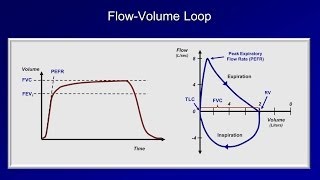 Pulmonary Function Tests PFT Lesson 2  Spirometry [upl. by Aseral160]