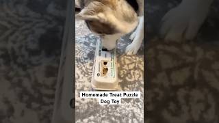 Homemade Treat Dispensing Dog Toy [upl. by Aicinod]