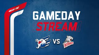 GamedayStream Adler Mannheim  Nürnberg Ice Tigers [upl. by Kermit]