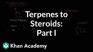 From terpenes to steroids part 1 Terpenes  Endocrine system physiology  NCLEXRN  Khan Academy [upl. by Eigram184]