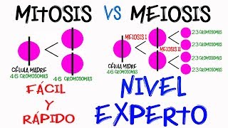 Diferencia Mitosis y Meiosis NIVEL EXPERTO en 2 minutos Fácil y Rápido  BIOLOGÍA [upl. by Aihsenal]