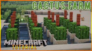 How to make Minecraft Cactus XP Farm 119 Tutorial Easy [upl. by Inverson249]