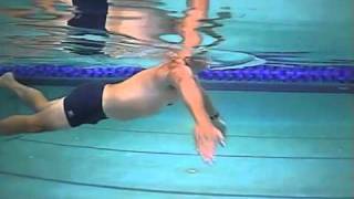 MPI Triathlon Swim Drills Sculling Drill [upl. by Melinda]