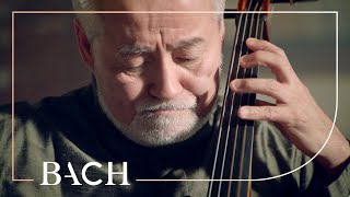 Bach  Cello Suite no 5 in C minor BWV 1011  Suzuki  Netherlands Bach Society [upl. by Kered]