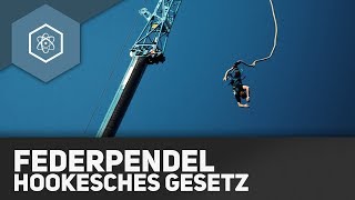 Federpendel  Hookesches Gesetz  Harmonische Schwingungen  REMAKE [upl. by Eirrem509]