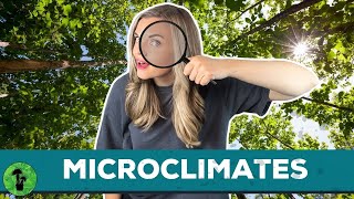 Microclimates  Contributing Factors amp Examples [upl. by Dlanar16]