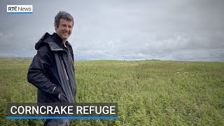 Corncrake refuge [upl. by Sillek971]