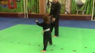 Martial Arts Drills and Games for Kids [upl. by Ekul]