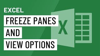 Excel Freeze Panes and View Options [upl. by Ellata]