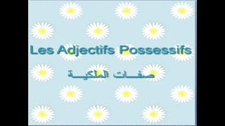 Les adjectifs possessifs شرح درس [upl. by Angrist]