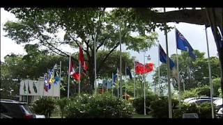 What is CARICOM [upl. by Soisanahta12]